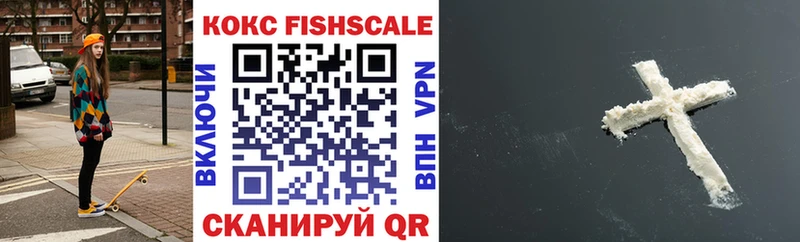 Купить закладки  Называевск  КОКАИН FishScale 