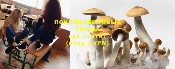 первитин Володарск