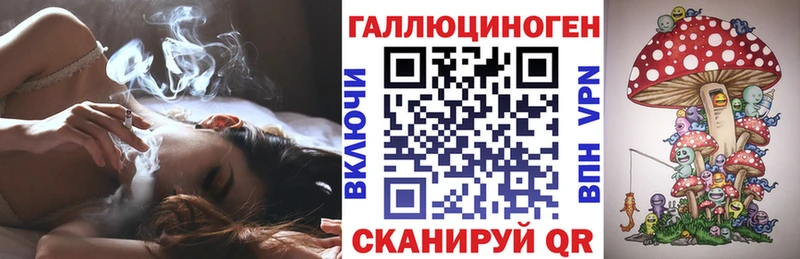 Купить закладки  Называевск  Галлюциногенные грибы GOLDEN TEACHER 